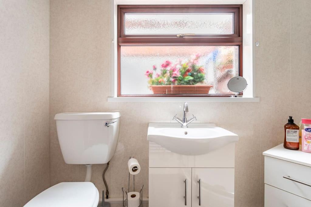 Central Belfast Town House ภายนอก รูปภาพ
